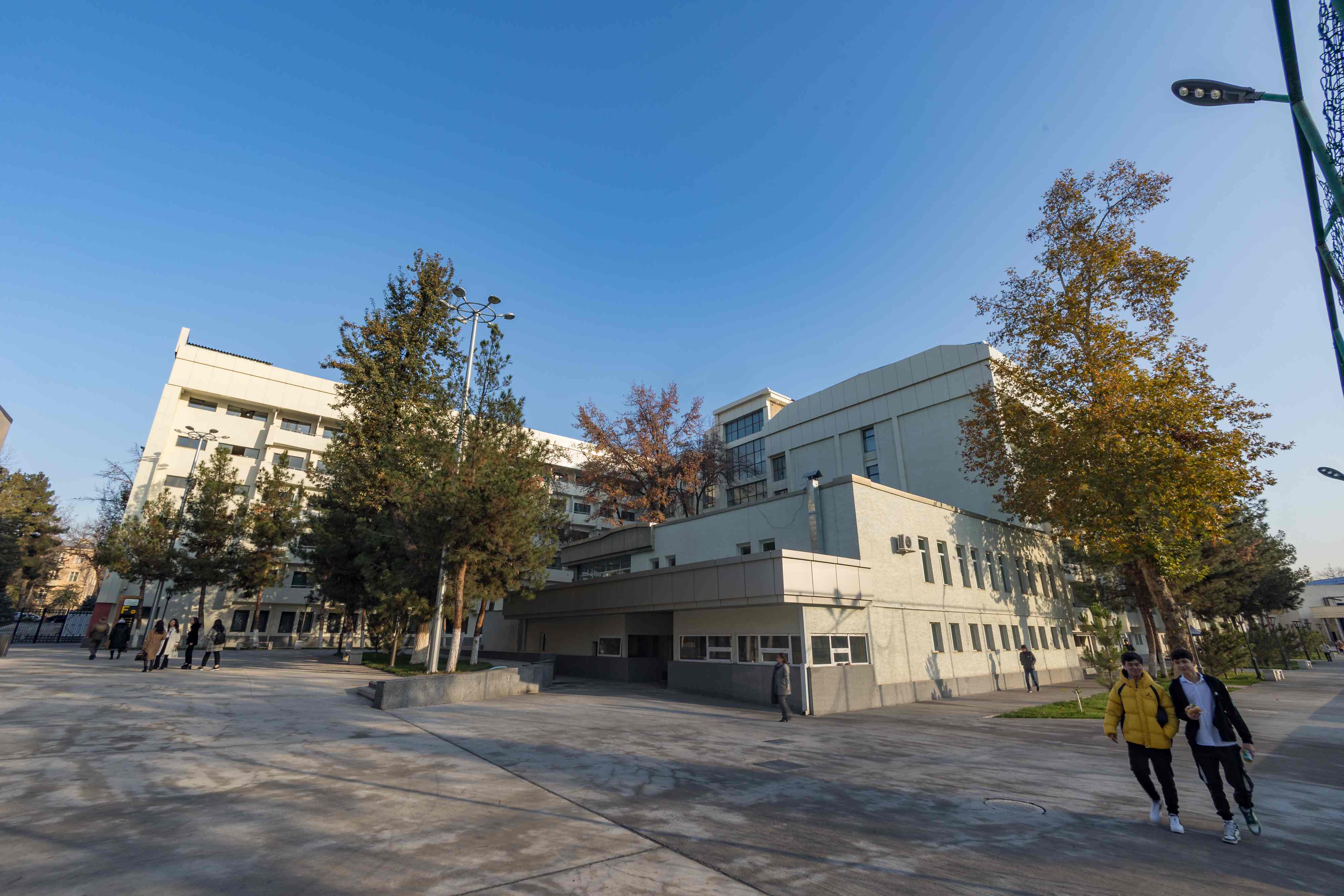 承重结构加固 - 安全与稳固